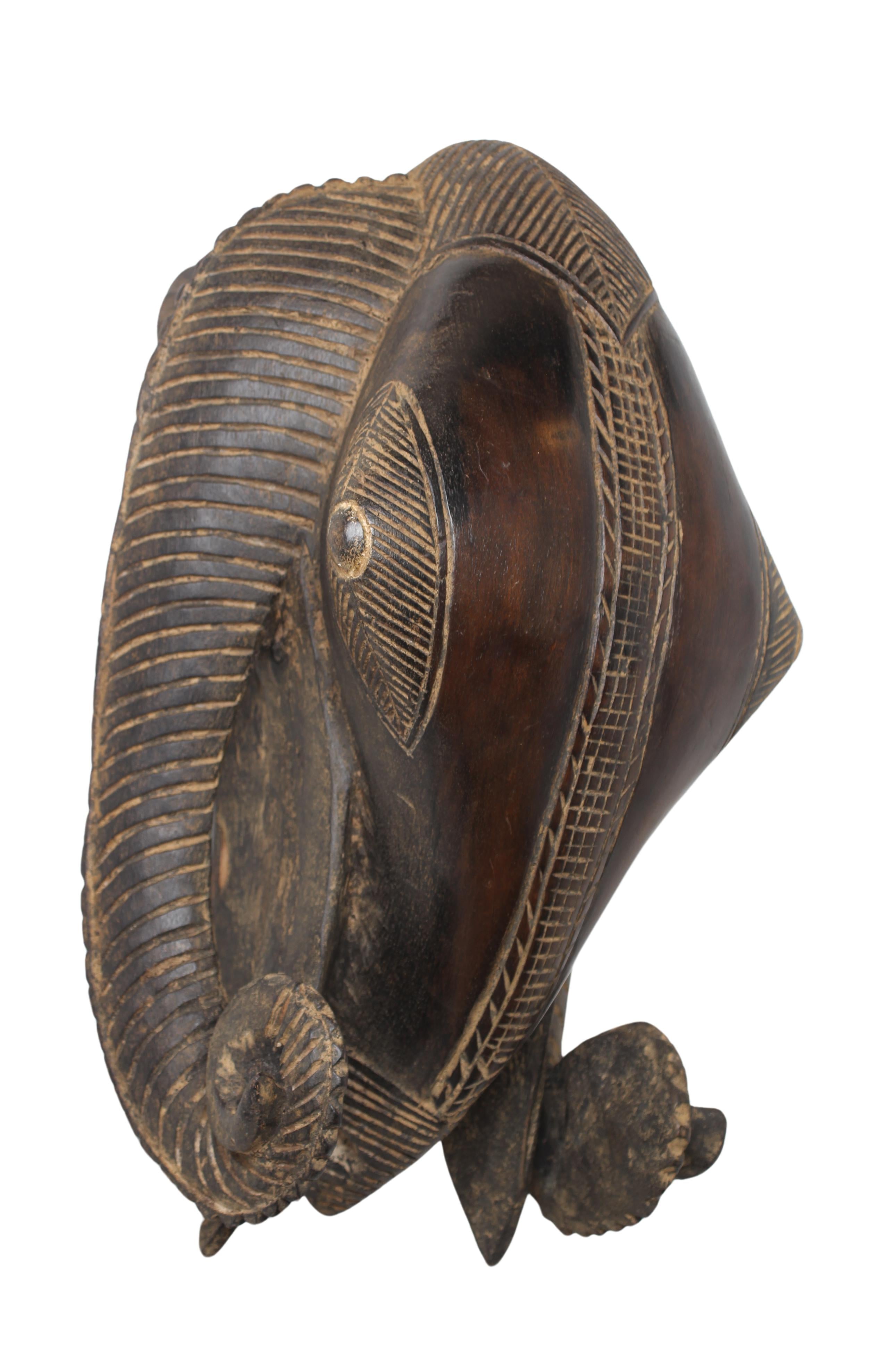 Baule Tribe Ram Mask ~18.5" Tall (New 2024) - West African Artifacts