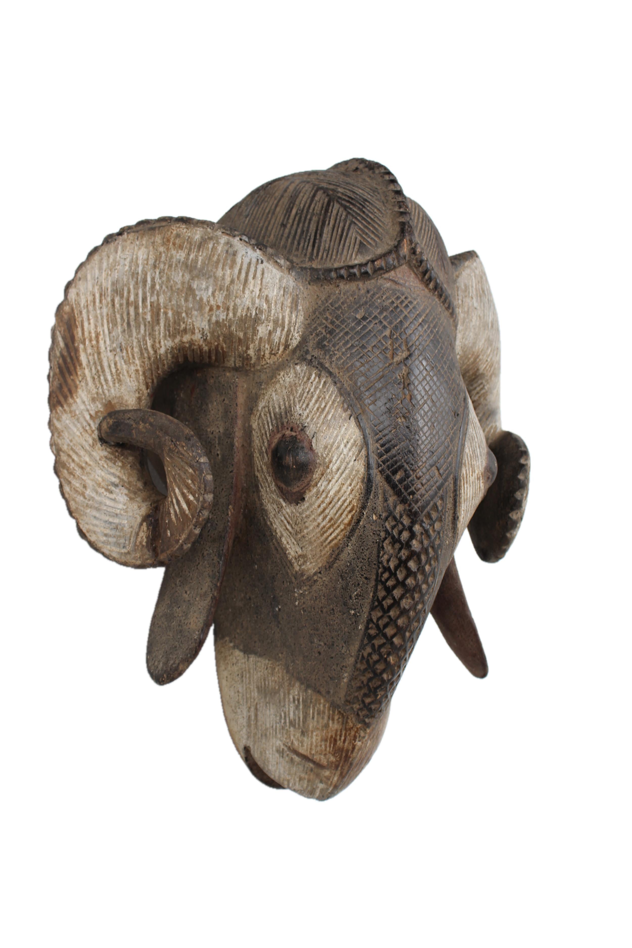 Baule Tribe Ram Mask ~18.1" Tall - New 2025 - West African Artifacts