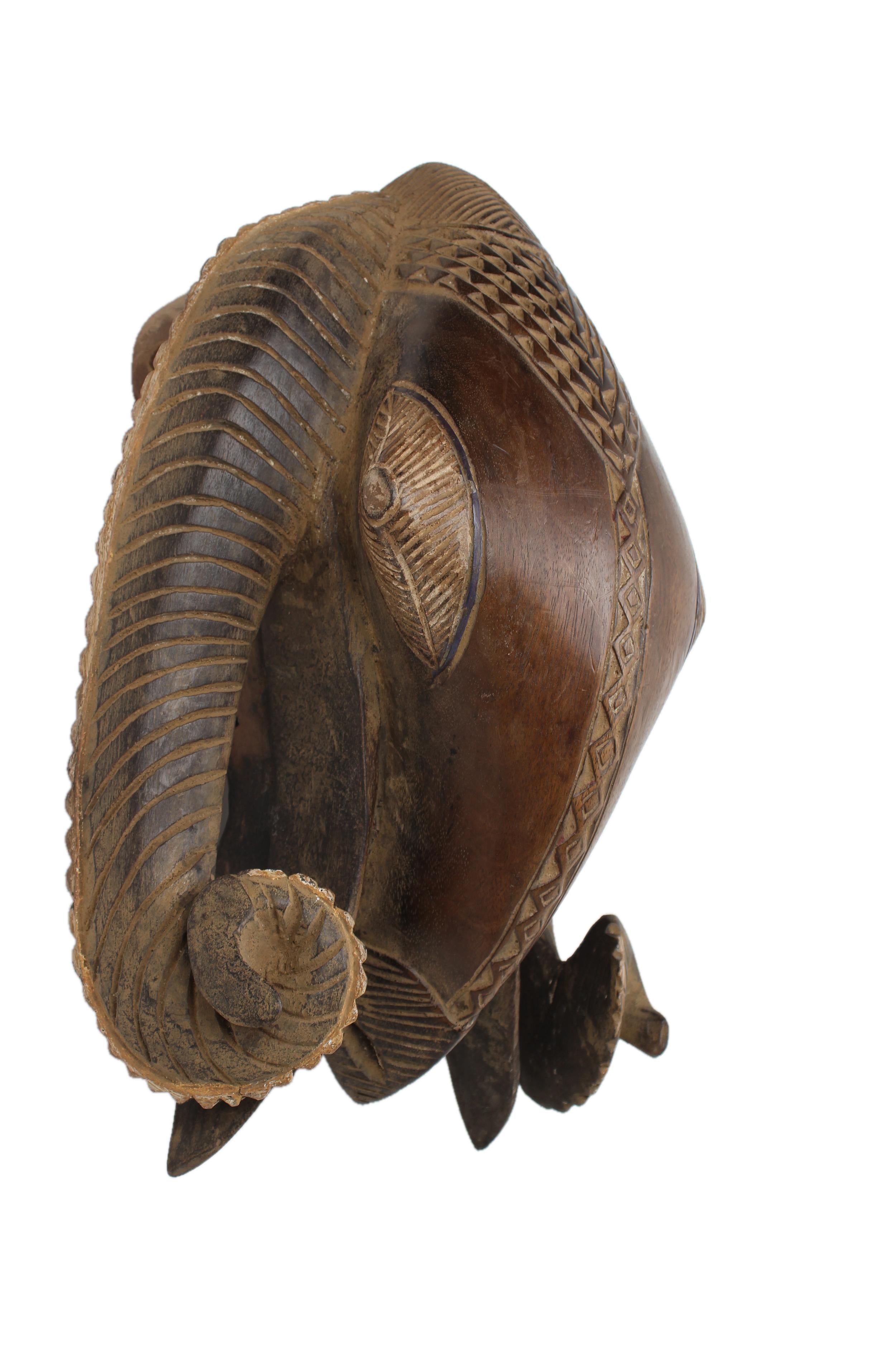 Baule Tribe Ram Mask ~19.7" Tall - New 2025 - West African Artifacts