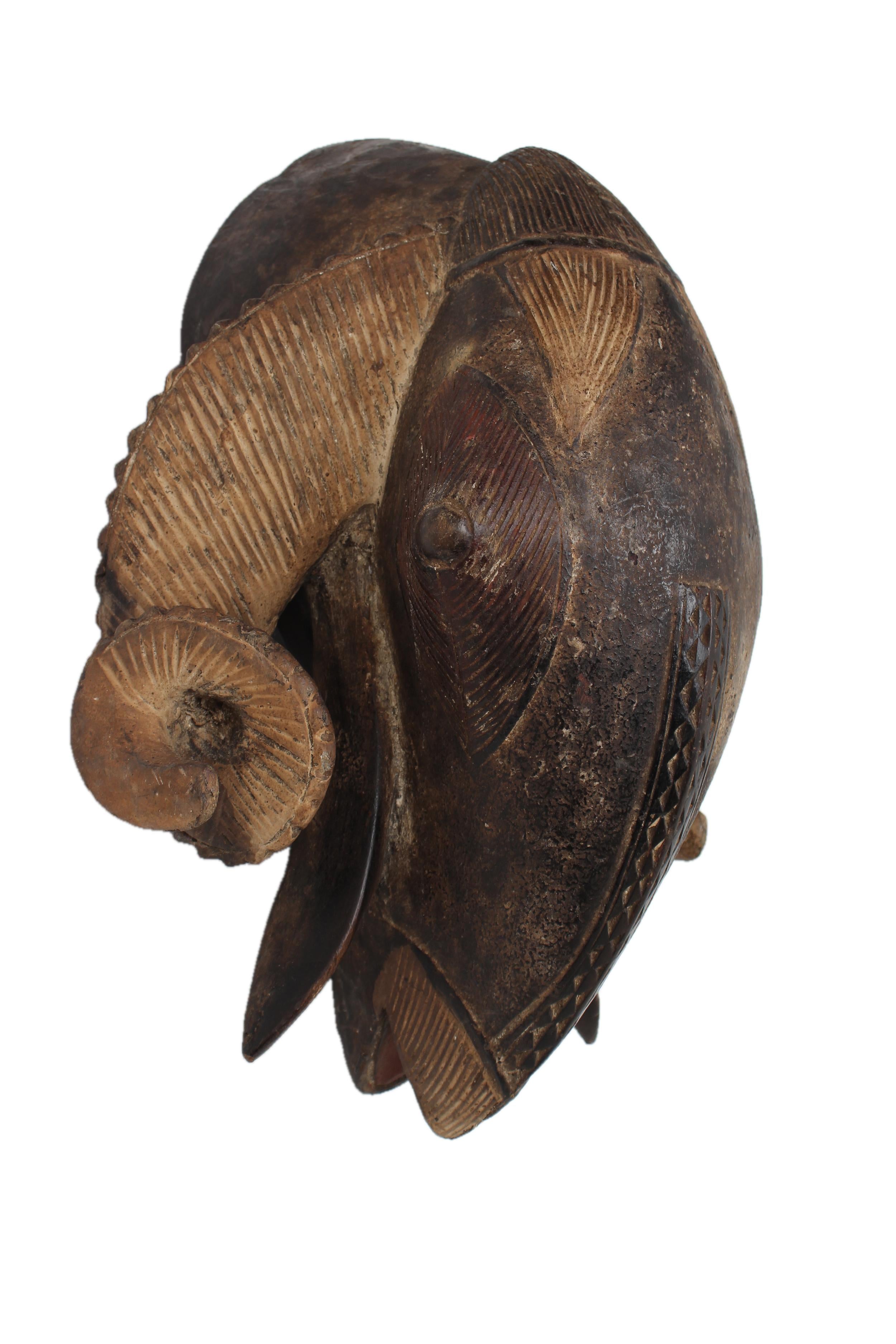 Baule Tribe Ram Mask ~17.3" Tall - New 2025 - West African Artifacts