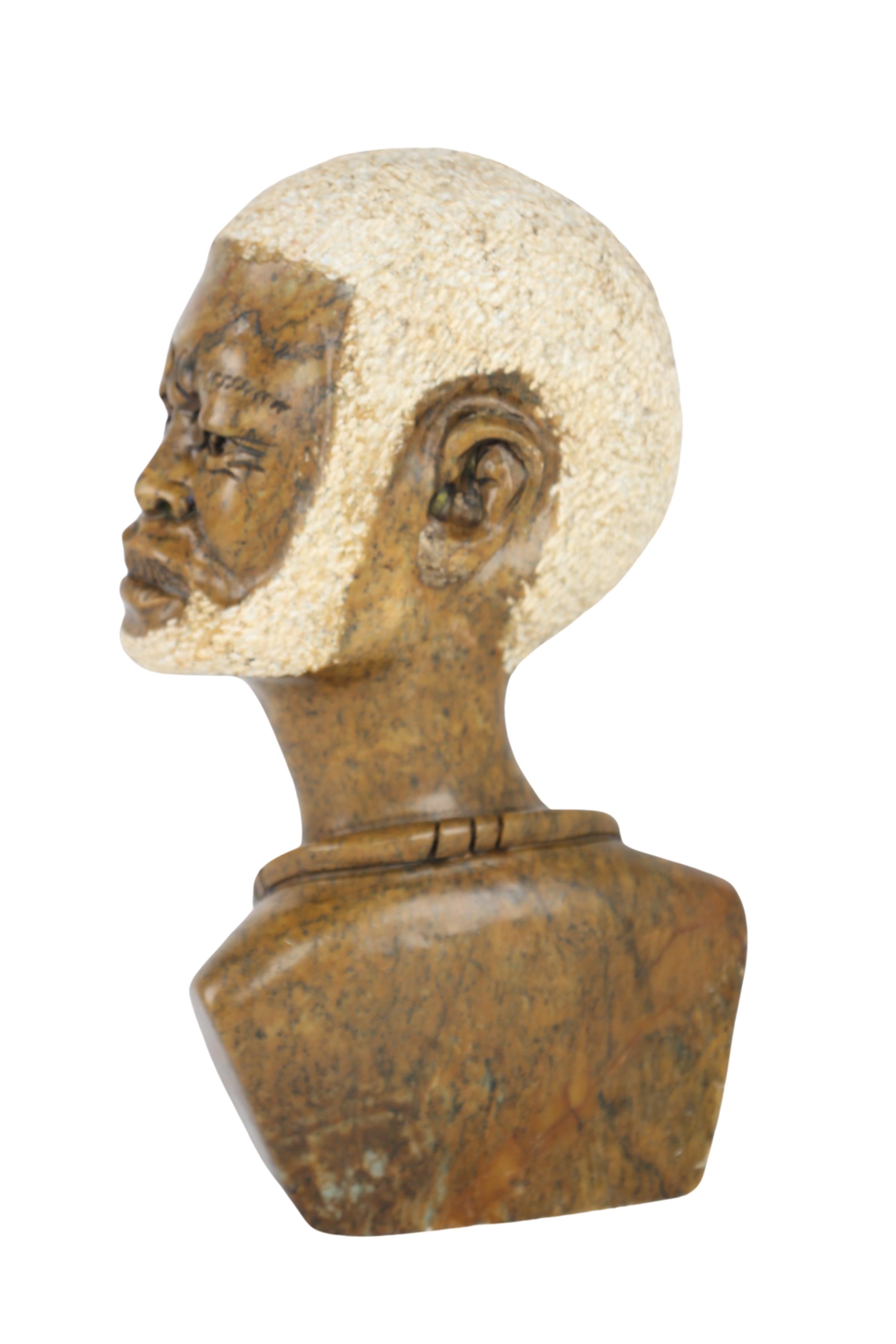 Shona Tribe Fruit Serpentine Bust ~10.2" Tall (New 2024)