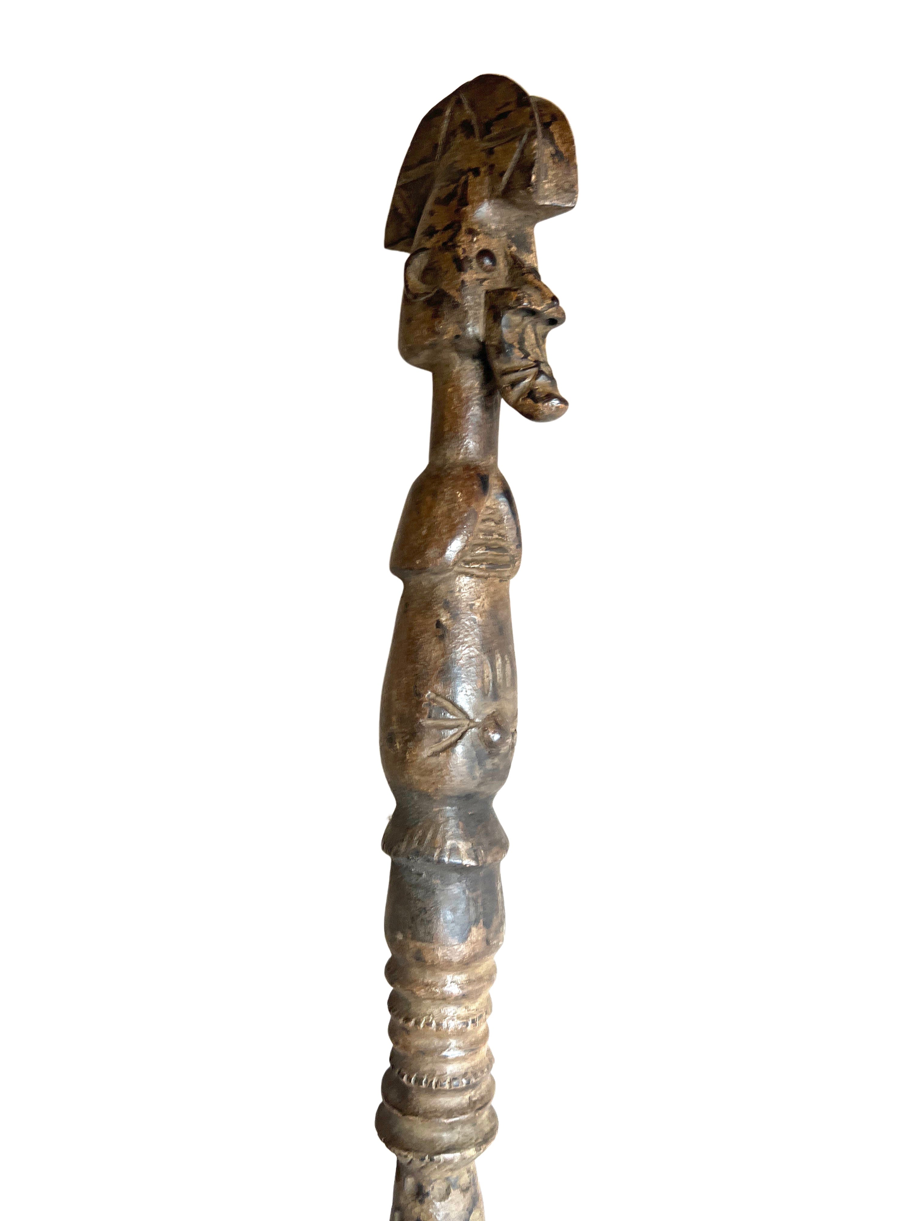 Fang Walking Stick