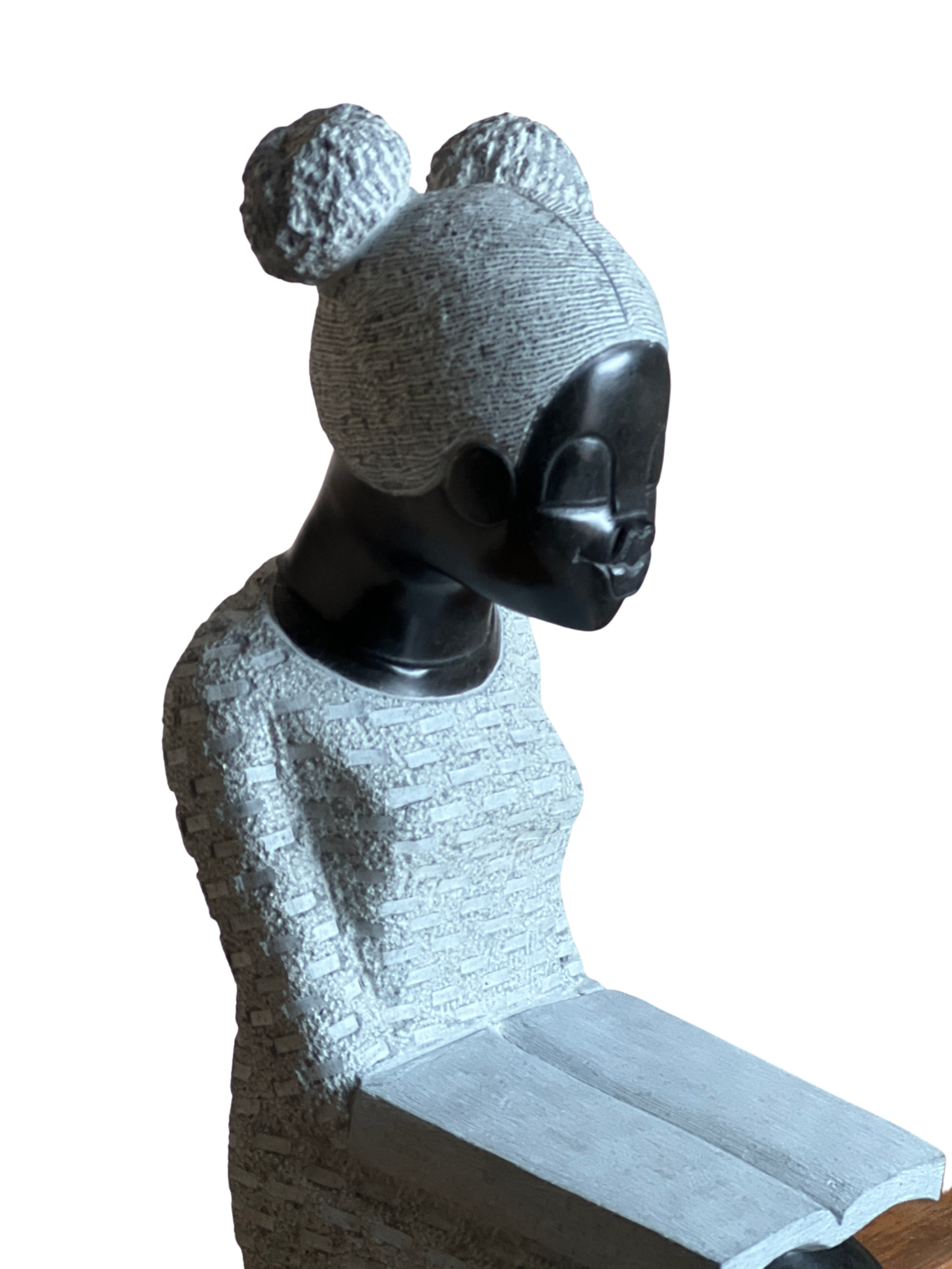 Shona Tribe Springstone Book Reader - Shona